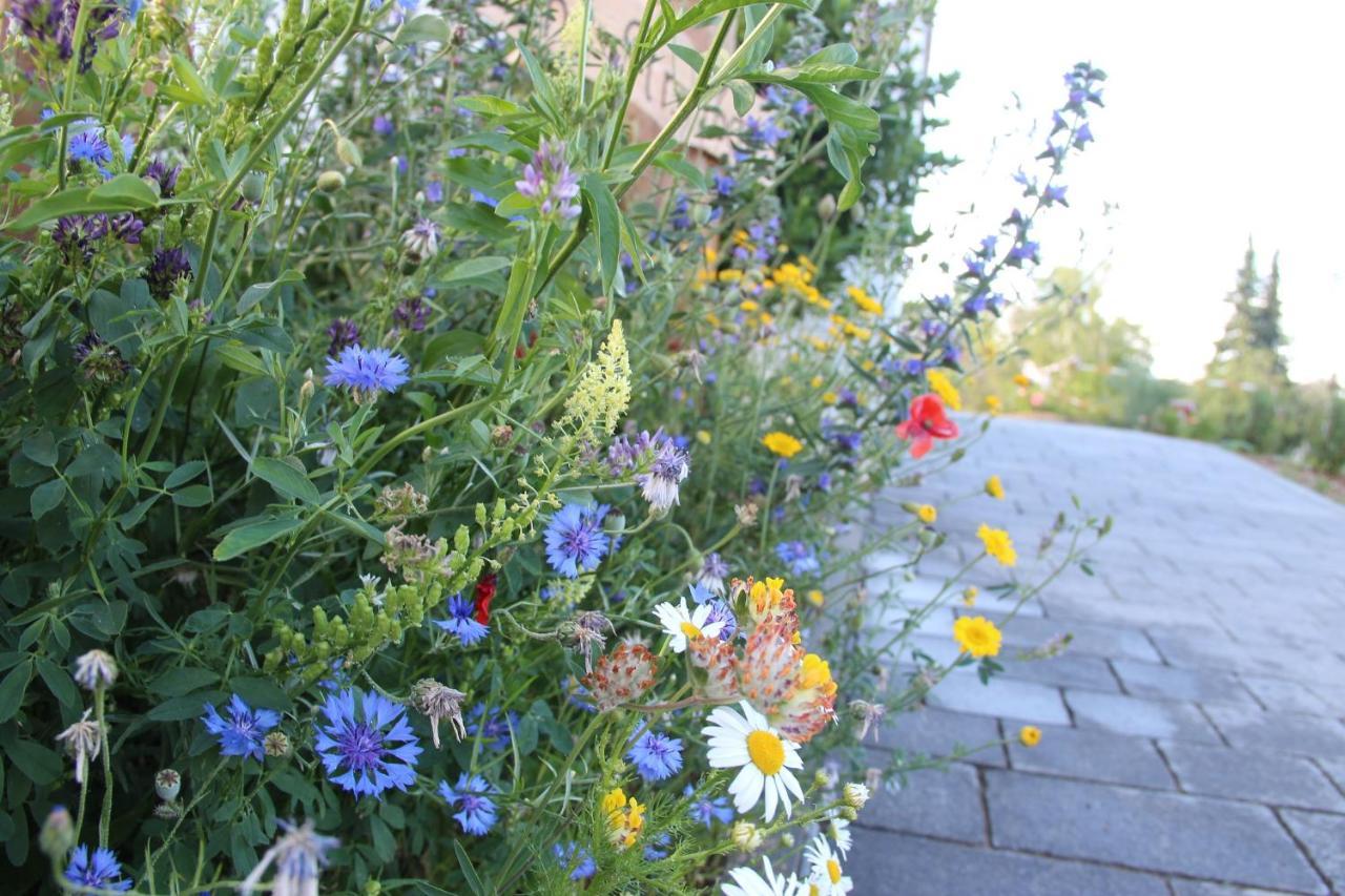 Ferienwohnungen "Blumenwiese" Dillingen an der Donau Εξωτερικό φωτογραφία