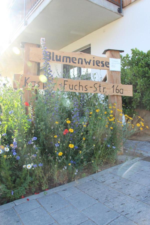 Ferienwohnungen "Blumenwiese" Dillingen an der Donau Εξωτερικό φωτογραφία